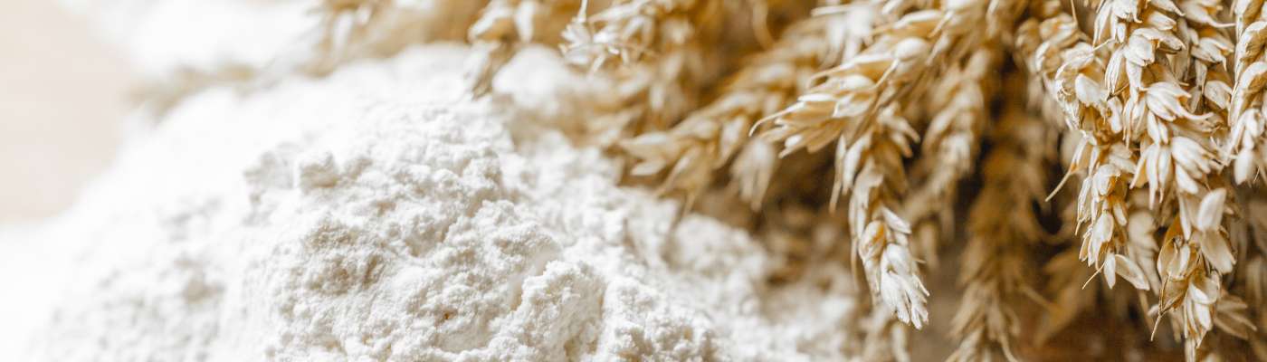 What are the benefits of durum wheat pasta?